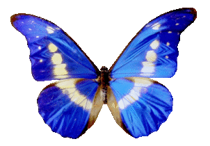 diferance